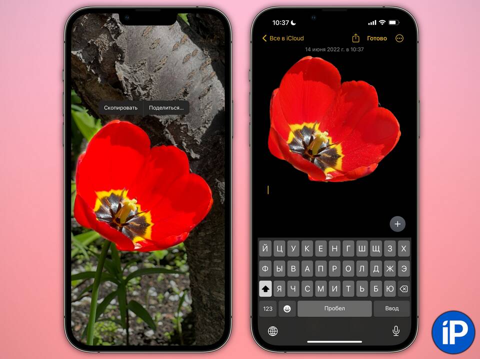 Как вырезать стикер из фото на iPhone
