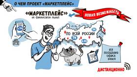 Банки маркетплейсов: что это в Роникон