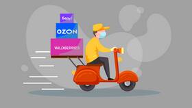 Что продавать ИП на Ozon в Роникон