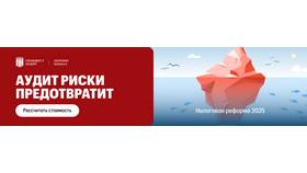 Что сдавать ООО в 2024 году в Роникон
