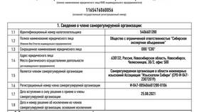 Что такое номер выписки в Роникон