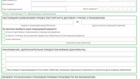 Что такое программа страховой защиты в Роникон