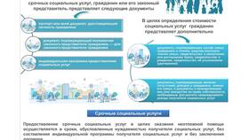 Что такое социальные услуги в Роникон