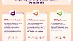 Что включает доставка товара в Роникон