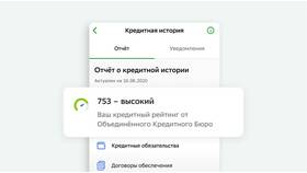 Что значит банковский кредит в Роникон