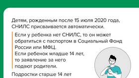 Как оформить СНИЛС в России в Роникон