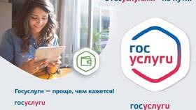 Как оформить уход за инвалидом через Госуслуги в Роникон