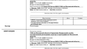 Как оплатить госпошлину через суд в Роникон