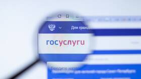 Как подтвердить учетную запись Госуслуг в МФЦ в Роникон