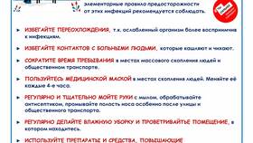 Как получить поддержку: инструкция и полезные советы в Роникон