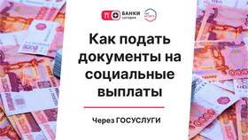 Как получить справку о статусе малоимущей семьи через Госуслуги в Роникон