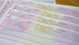 Как посмотреть свой страховой полис на машину в Роникон