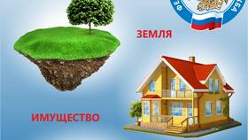 Как правильно платить налоги и платежи в Роникон