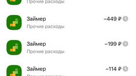 Как продлить займ в Займере в Роникон