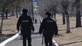 Как проверить статус заявления в полицию в Роникон