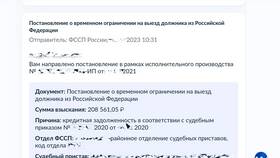 Как снять запрет по исполнительному листу в Роникон