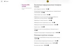 Как связаться с поддержкой Билайн в Роникон