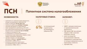 Как вести учет доходов при патентной системе налогообложения в Роникон