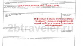 Как выглядит виза во Францию в Роникон