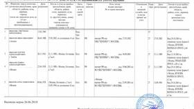 Как выглядит выписка на дом в Роникон