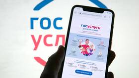 Как заказать справку через портал Госуслуги в Роникон