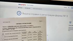 Как заказать справку формы 9 через Госуслуги в Роникон