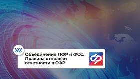 Личный кабинет СФР для юридических лиц в Роникон