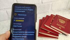 Сроки получения загранпаспорта через Госуслуги в Роникон