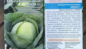 Стоимость белокочанной капусты в Пятерочке в Роникон
