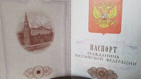 Зачем нужен внутренний паспорт в Роникон