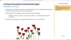 Зачтено излишне удержанного НДФЛ: что это означает в Роникон