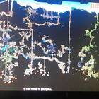 Как посмотреть карту мира в Terraria