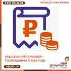 От чего зависит размер пошлины